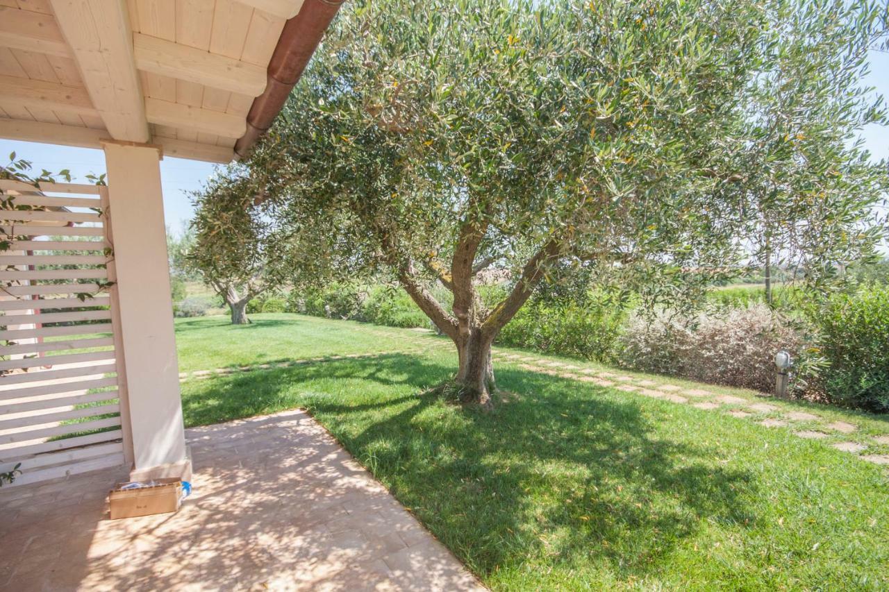 Agriturismo Il Mirto Pescia Romana Cameră foto